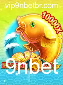 Explorando o Fascinante Mundo de DragonKoi e 9nbet